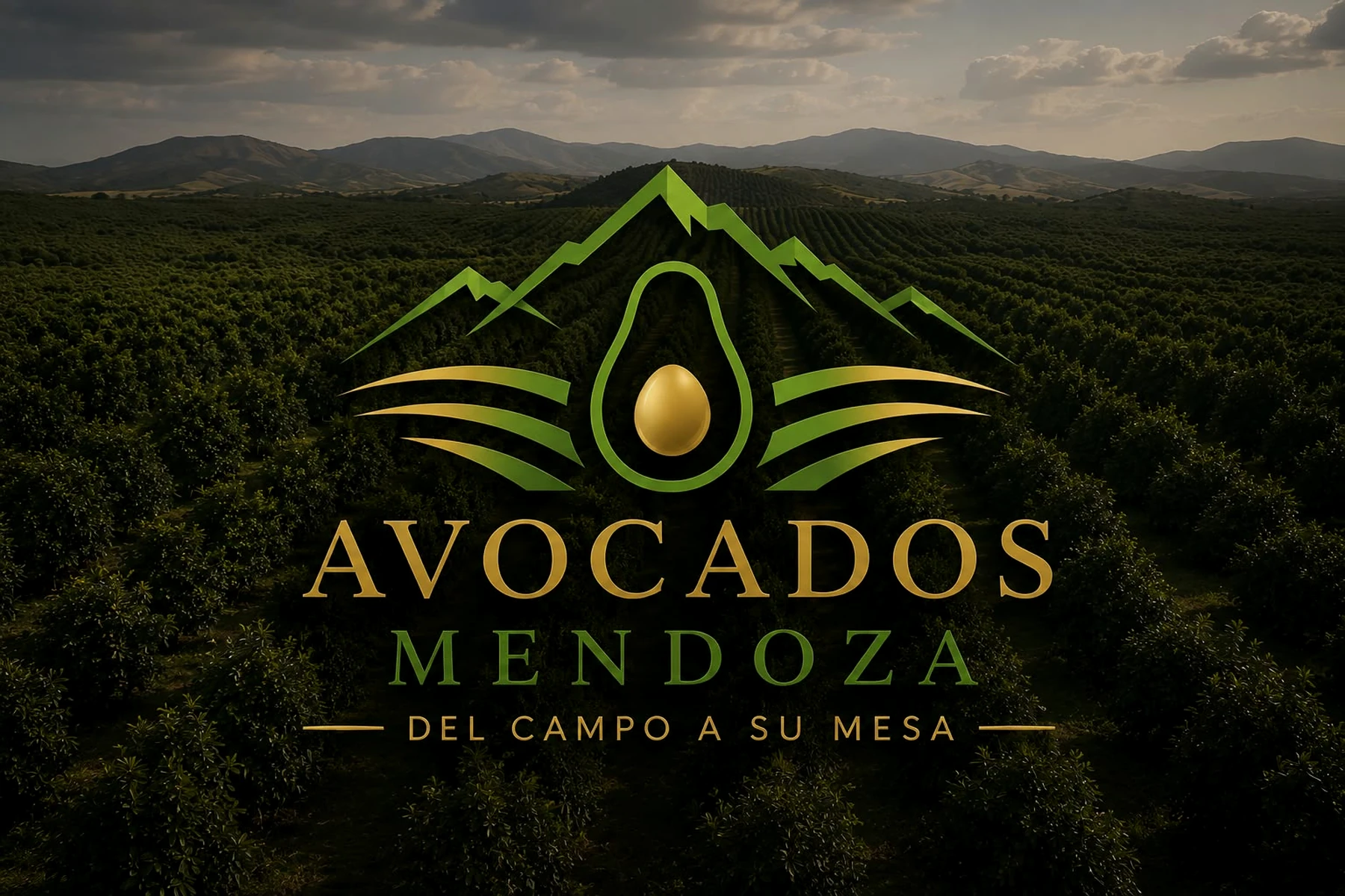 Huertas de Avocados Mendoza