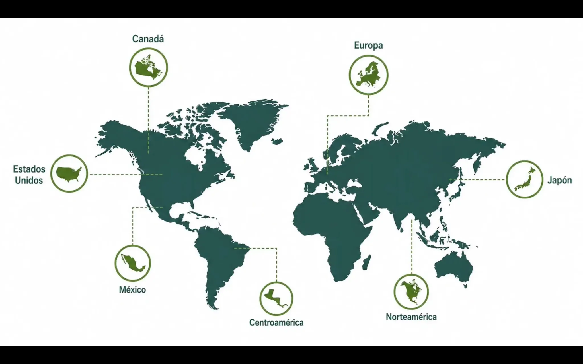 Mapa de distribución internacional de Avocados Mendoza