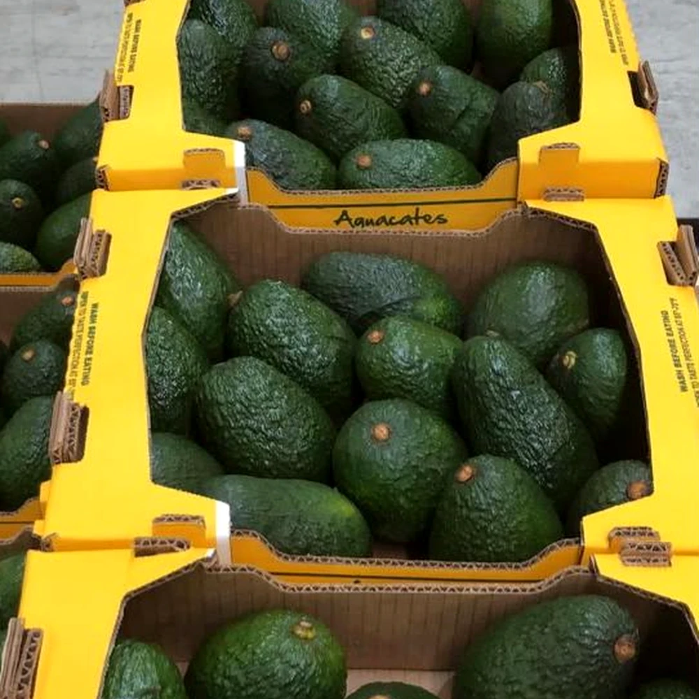 Aguacate Hass empacado